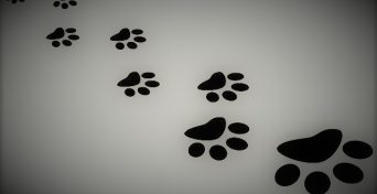 footprint2